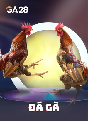 Bắn Cá